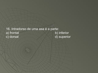 16. Intradorso de uma asa é a parte: a) frontal b) inferior c) dorsal d) superior 
