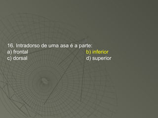 16. Intradorso de uma asa é a parte: a) frontal b) inferior c) dorsal d) superior 
