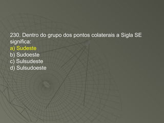 230. Dentro do grupo dos pontos colaterais a Sigla SE significa: a) Sudeste b) Sudoeste c) Sulsudeste d) Sulsudoeste 