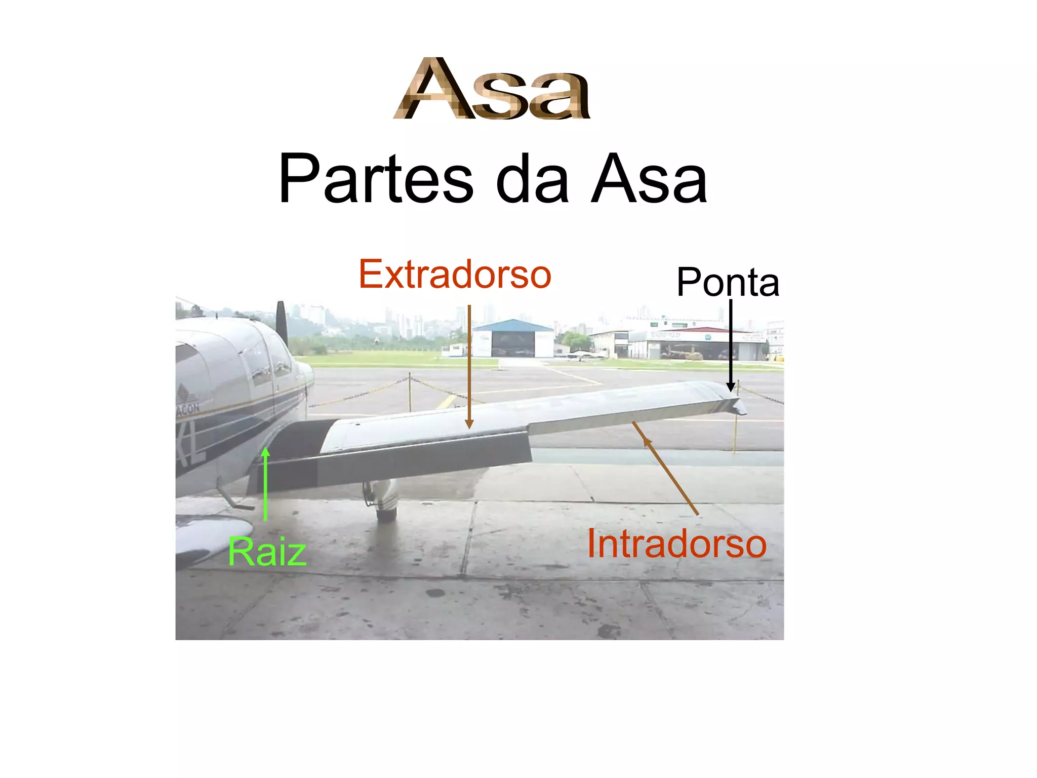 Partes da Asa
Intradorso
Extradorso Ponta
Raiz
 