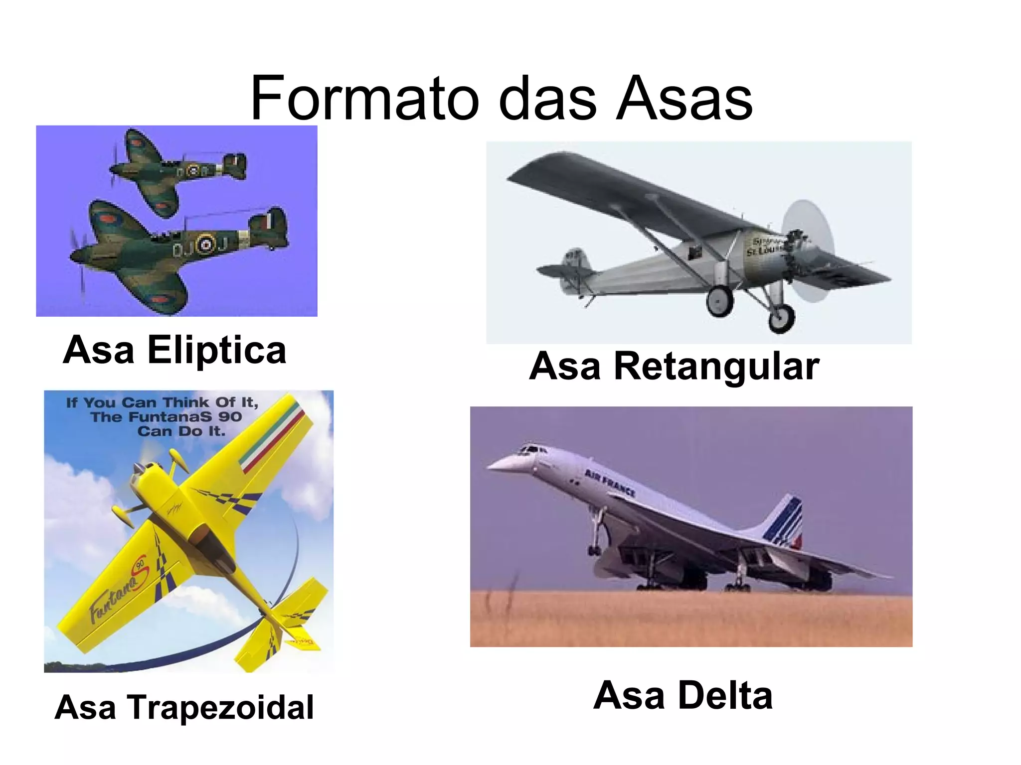 Formato das Asas
Asa Eliptica Asa Retangular
Asa Trapezoidal Asa Delta
 