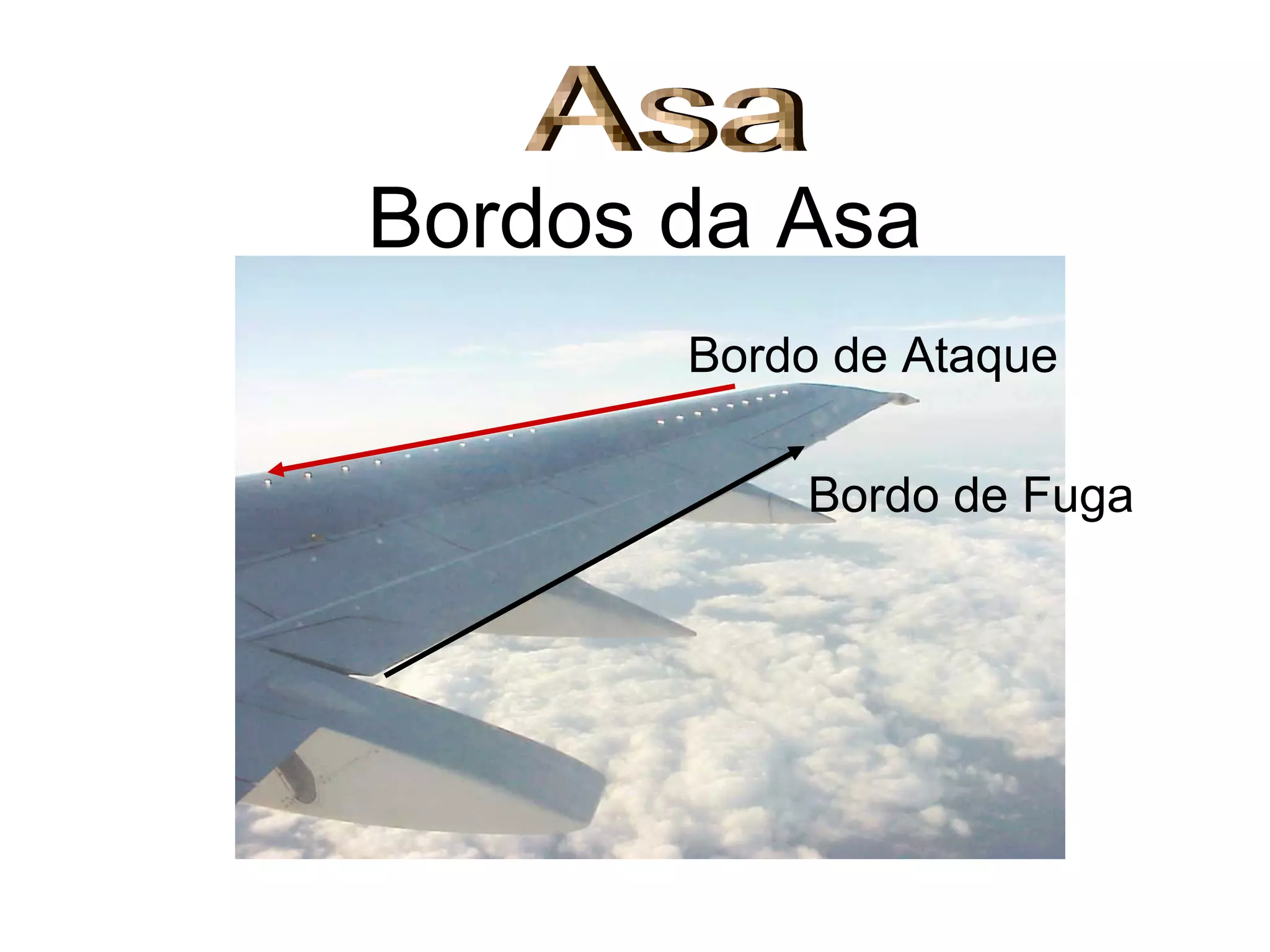 Bordos da Asa
Bordo de Ataque
Bordo de Fuga
 