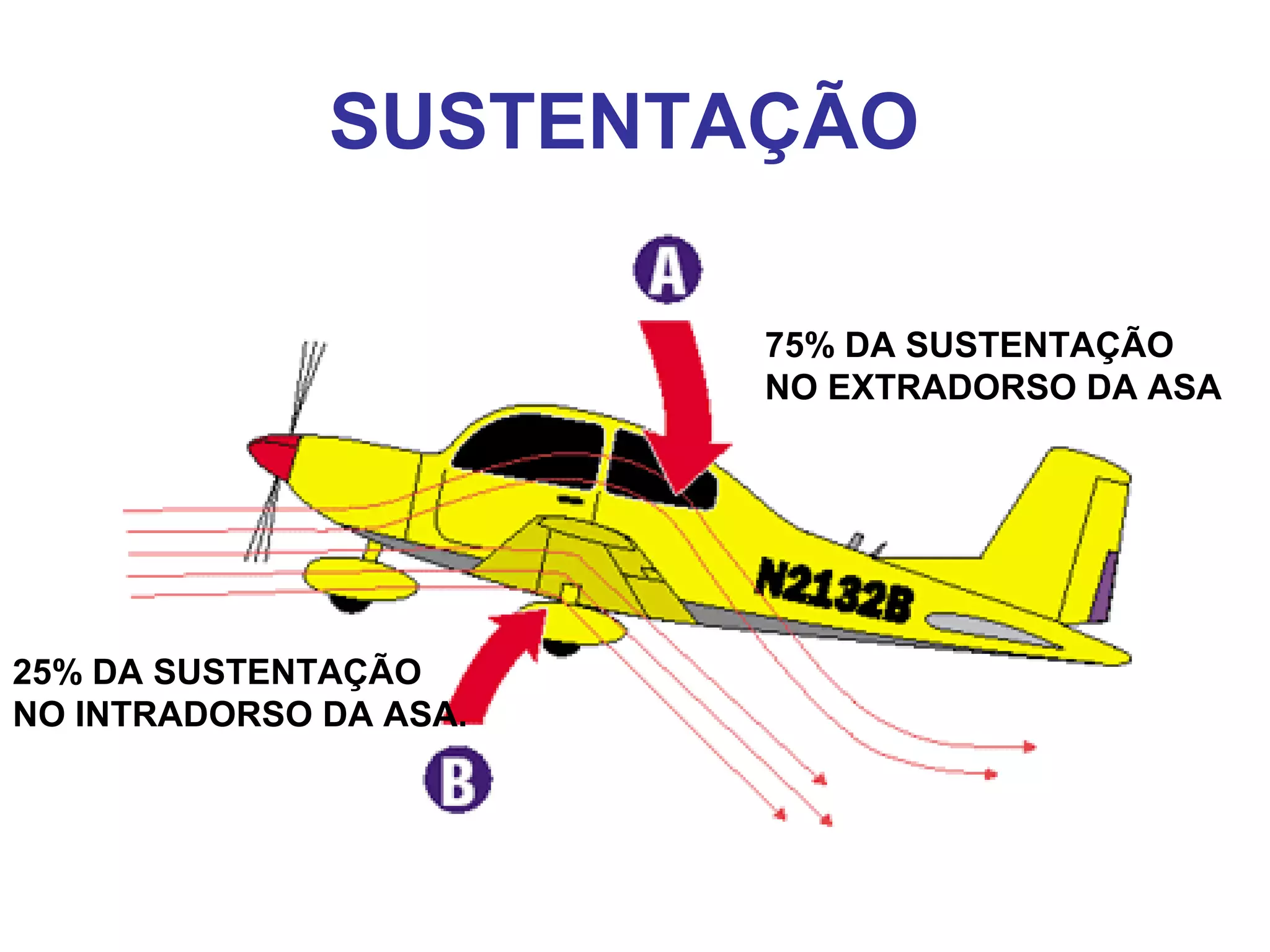 SUSTENTAÇÃO
75% DA SUSTENTAÇÃO
NO EXTRADORSO DA ASA
25% DA SUSTENTAÇÃO
NO INTRADORSO DA ASA.
 