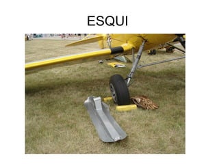 ESQUI
 