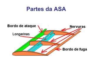 Partes da ASA
 