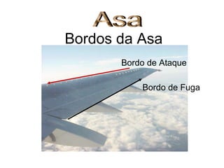 Bordos da Asa
Bordo de Ataque
Bordo de Fuga
 