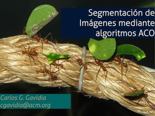 Carlos G. Gavidia
cgavidia@acm.org

Segmentación de
Imágenes mediante
algoritmos ACO

 