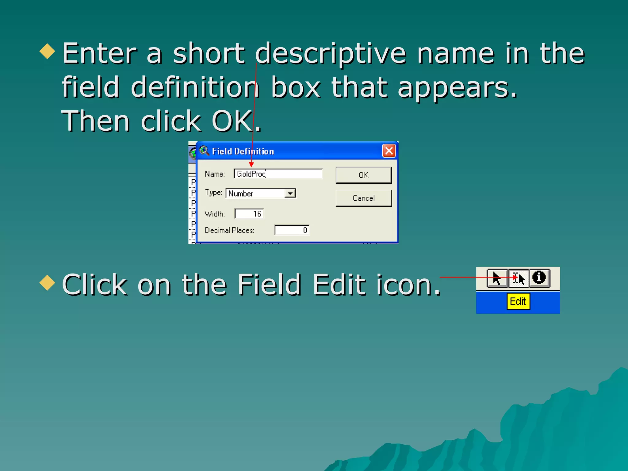 Enter a short descriptive name in the field definition box that appears.  Then click OK. Click on the Field Edit icon. 