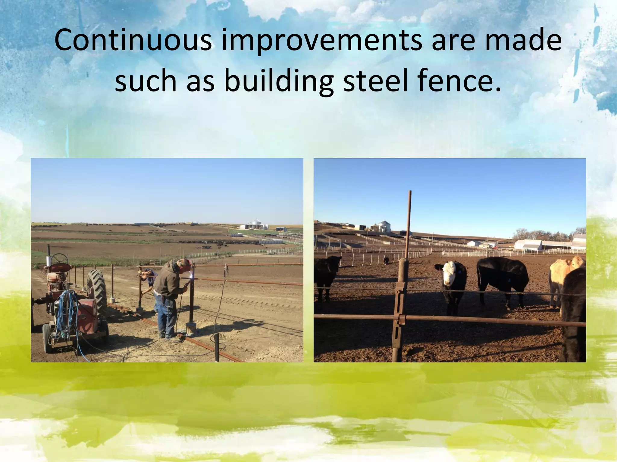 Continuous improvements are made
    such as building steel fence.
 