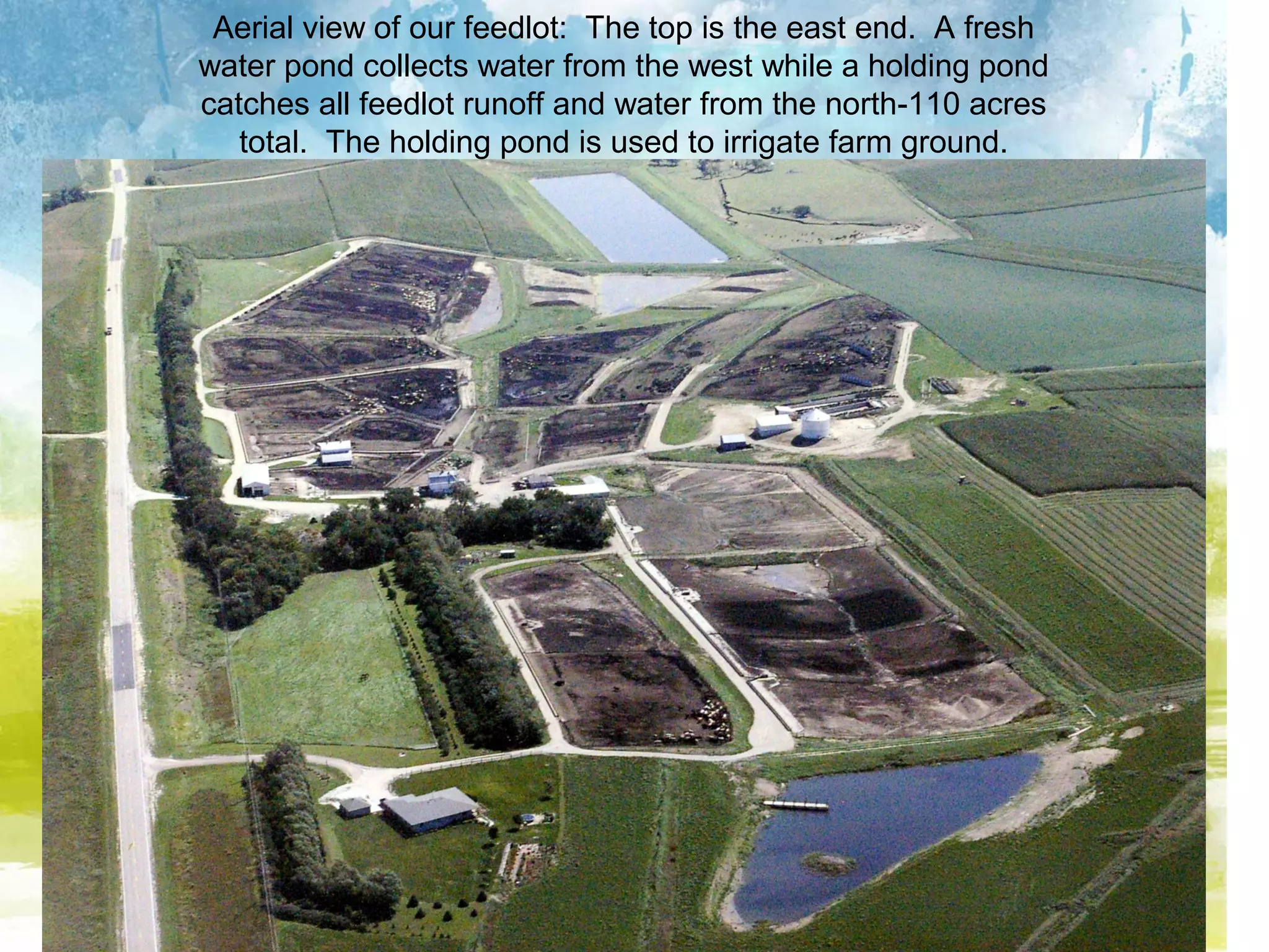 Aerial view of our feedlot: The top is the east end. A fresh
water pond collects water from the west while a holding pond
catches all feedlot runoff and water from the north-110 acres
   total. The holding pond is used to irrigate farm ground.
 
