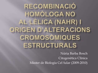 Recombinacióhomòloga no al·lèlica (NAHR) i origen d’alteracionscromosòmiquesestructurals Núria Barba Bosch Citogenètica Clínica Màster de BiologiaCel·lular (2009-2010) 