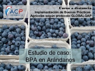 Curso a distancia 
Implementación de Buenas Prácticas 
Agrícolas según protocolo GLOBALGAP 
Estudio de caso: 
BPA en Arándanos 
 