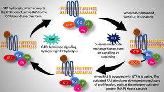 Oncogene and Proto-oncogene | PPTX
