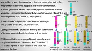 Oncogene and Proto-oncogene | PPT
