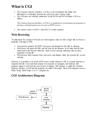 Cgi | PDF