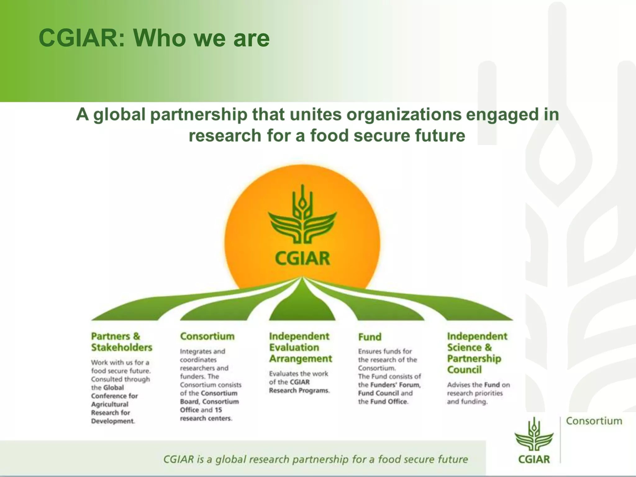 CGIAR: Who we are
 