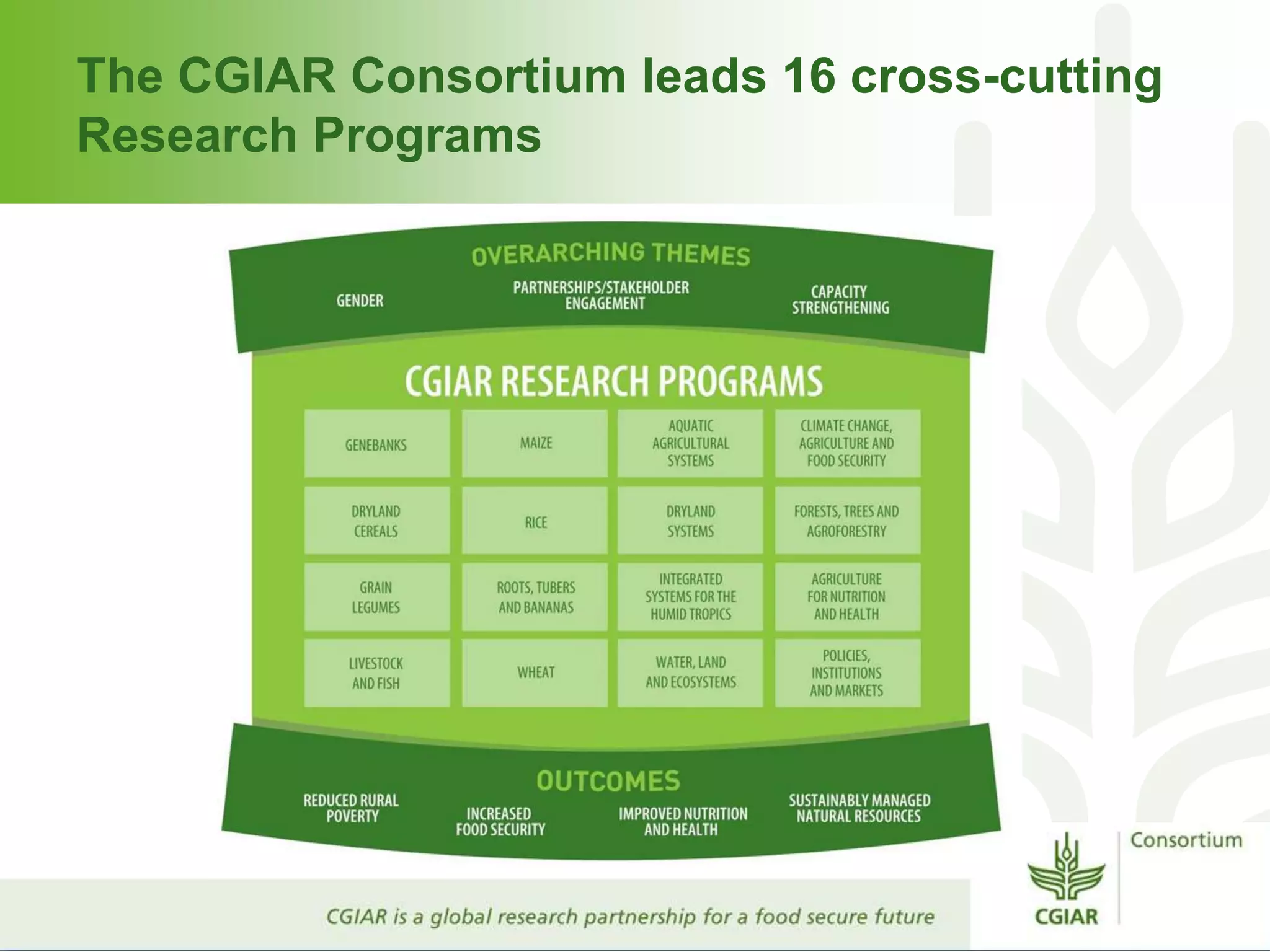 The CGIAR Consortium leads 16 cross-cutting
Research Programs
 