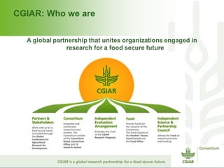 CGIAR: Who we are
 