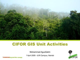 CIFOR GIS Unit Activities
                                Mohammad AgusSalim
                            1 April 2009 - ILRI Campus, Nairobi
THINKINGbeyond the canopy
 