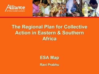The Regional Plan for Collective
 Action in Eastern & Southern
             Africa


           ESA Map
           Ravi Prabhu
 