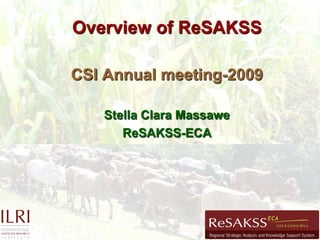 Overview of ReSAKSS

CSI Annual meeting-2009

   Stella Clara Massawe
      ReSAKSS-ECA
 