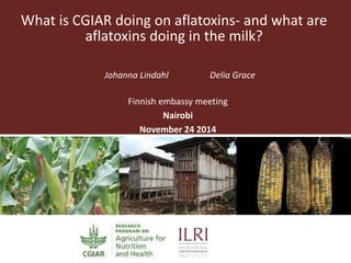 Johanna Lindahl Delia Grace
Finnish embassy meeting
Nairobi
November 24 2014
What is CGIAR doing on aflatoxins- and what are
aflatoxins doing in the milk?
 