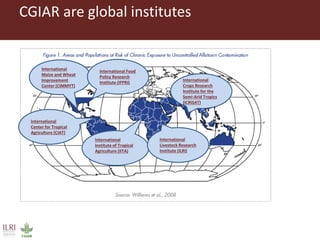 CGIAR are global institutes
International
Center for Tropical
Agriculture (CIAT)
International
Crops Research
Institute for the
Semi-Arid Tropics
(ICRISAT)
International
Institute of Tropical
Agriculture (IITA)
International
Livestock Research
Institute (ILRI)
International
Maize and Wheat
Improvement
Center (CIMMYT)
International Food
Policy Research
Institute (IFPRI)
 