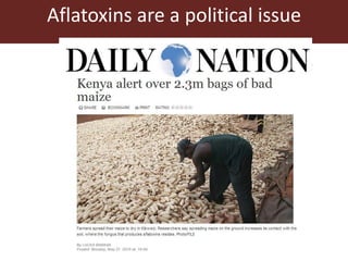 Aflatoxins are a political issue
 
