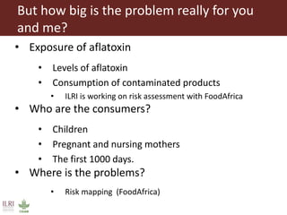 What is CGIAR doing on aflatoxins—And what are aflatoxins doing in the milk?