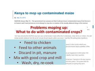 What is CGIAR doing on aflatoxins—And what are aflatoxins doing in the milk?