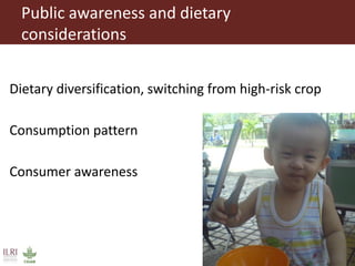 What is CGIAR doing on aflatoxins—And what are aflatoxins doing in the milk?