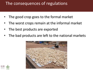 What is CGIAR doing on aflatoxins—And what are aflatoxins doing in the milk?