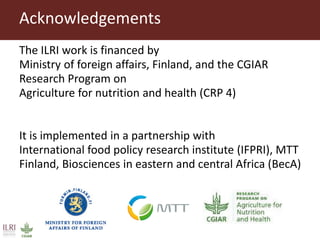 What is CGIAR doing on aflatoxins—And what are aflatoxins doing in the milk?