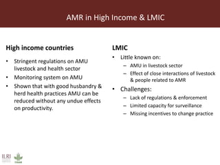 CGIAR strategy on antimicrobial resistance: ILRI's position on antimicrobial resistance in livestock, aquaculture and implications for human health