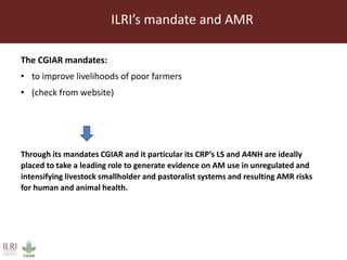 CGIAR strategy on antimicrobial resistance: ILRI's position on antimicrobial resistance in livestock, aquaculture and implications for human health