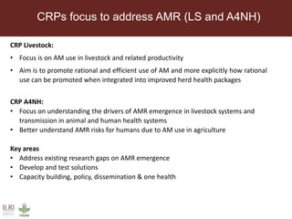 CGIAR strategy on antimicrobial resistance: ILRI's position on antimicrobial resistance in livestock, aquaculture and implications for human health