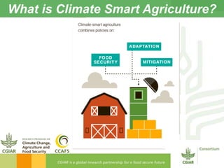 CGIAR and Climate-Smart Agriculture