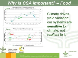 CGIAR and Climate-Smart Agriculture