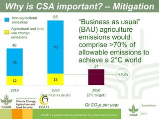 CGIAR and Climate-Smart Agriculture