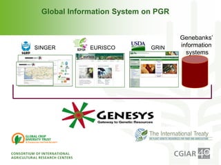 CGIAR and FAO: Joining forces on genetic resources