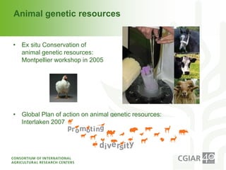 CGIAR and FAO: Joining forces on genetic resources