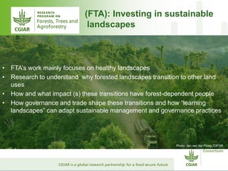 CGIAR and Healthy Landscapes