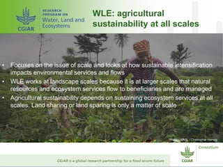 CGIAR and Healthy Landscapes