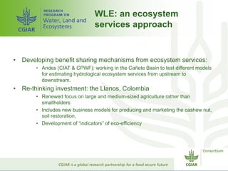 CGIAR and Healthy Landscapes