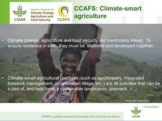 CGIAR and Healthy Landscapes