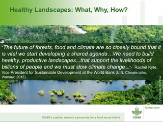 Healthy Landscapes: What, Why, How?

"The

future of forests, food and climate are so closely bound that it
is vital we st...
