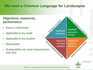 CGIAR and Healthy Landscapes