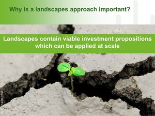 CGIAR and Healthy Landscapes