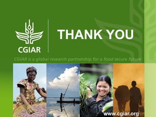 CGIAR and Healthy Landscapes