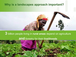CGIAR and Healthy Landscapes